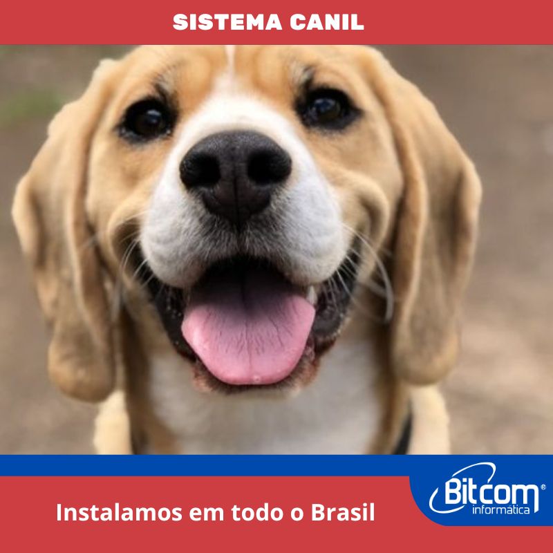 Cliente 1